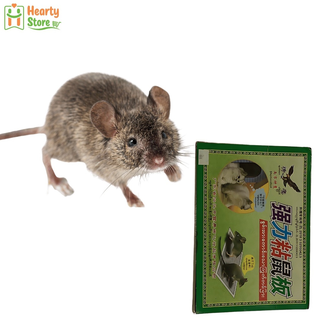 ကြွက်ကပ်ကော် (စိမ်း)