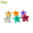 ညှပ်ကလစ် - တရုတ်စကားပန်း