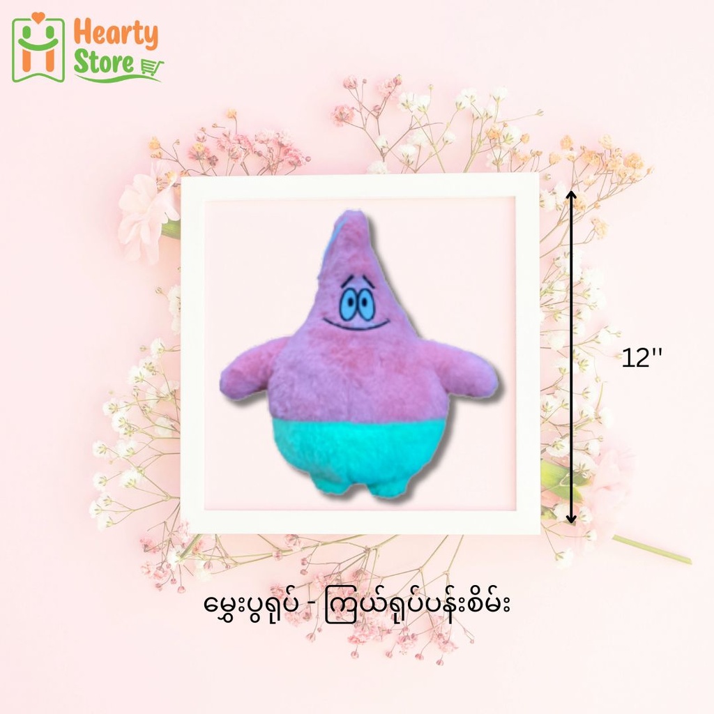 မွှေးပွရုပ် - ကြယ်ရုပ်ပန်းစိမ်း 12''