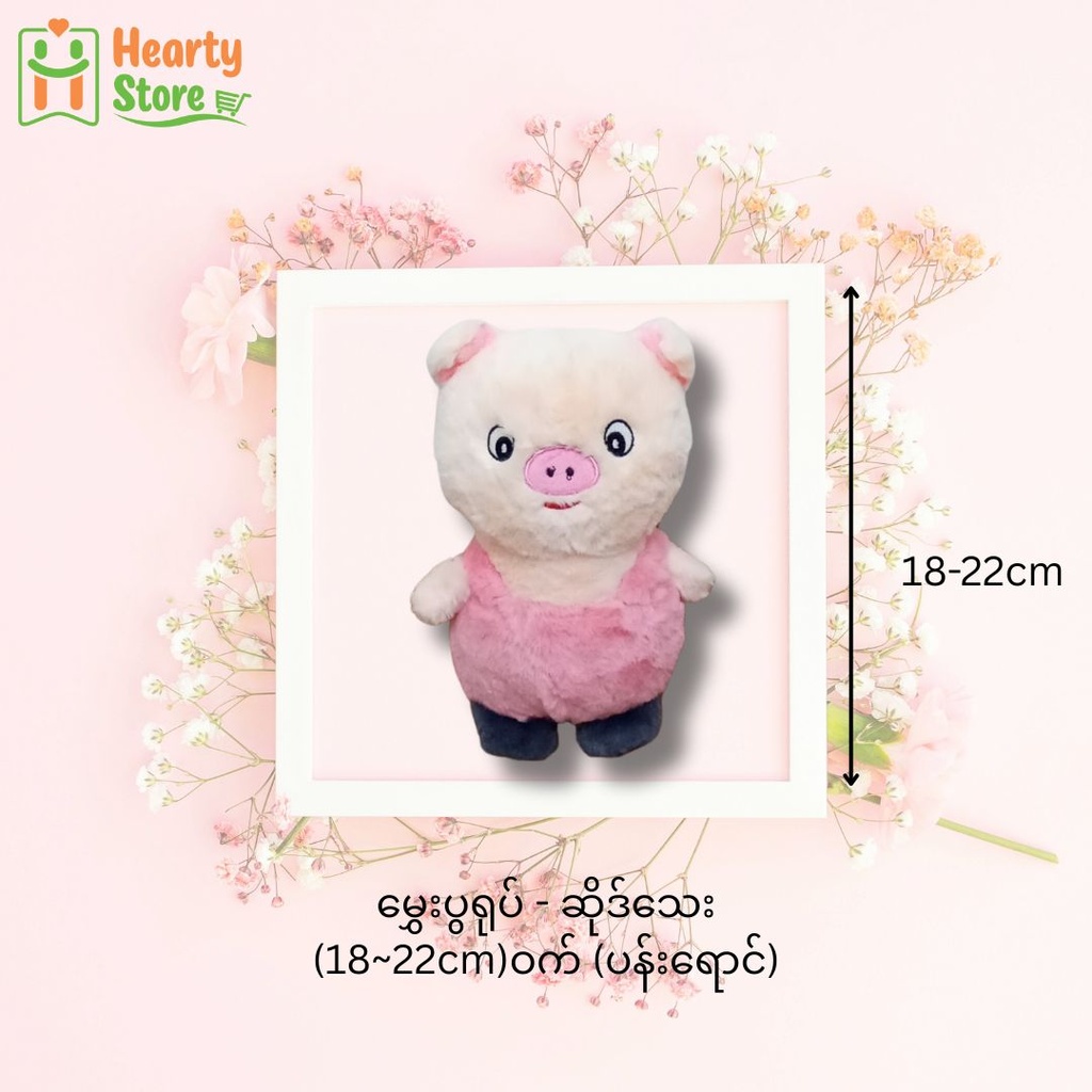 မွှေးပွရုပ် - ဆိုဒ်သေး (18~22cm)