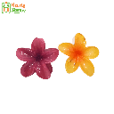 ညှပ်ကလစ် - တရုတ်စကားပန်း