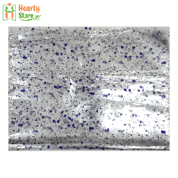 [06-O-TB-60-90] Toy Plastic Bag (60x90cm)